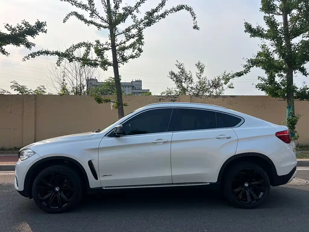 BMW X6 — миниатюра 7