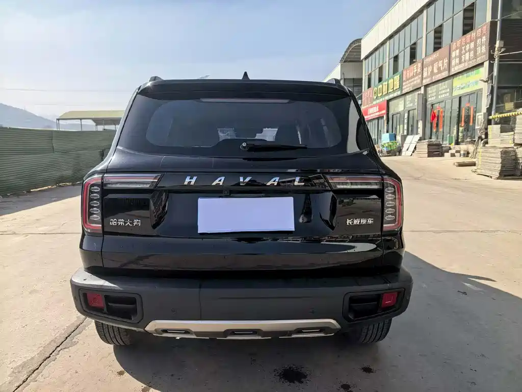 HAVAL BIG DOG
