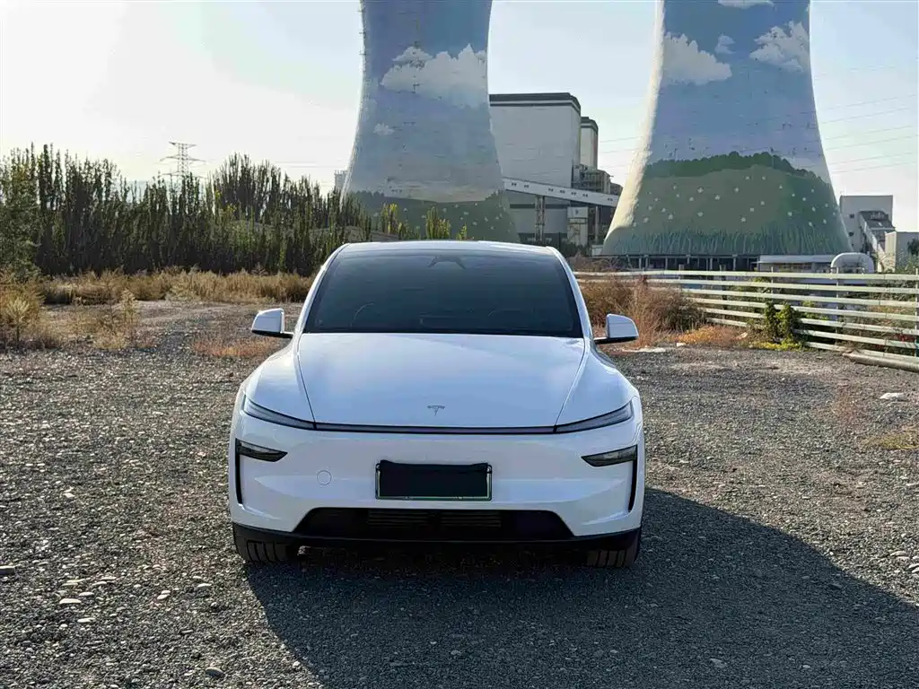 Tesla Model Y — миниатюра 2
