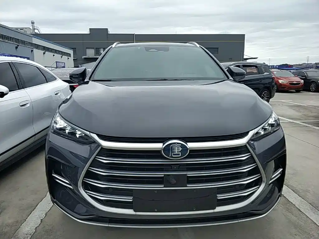 BYD Tang New Energy — миниатюра 3