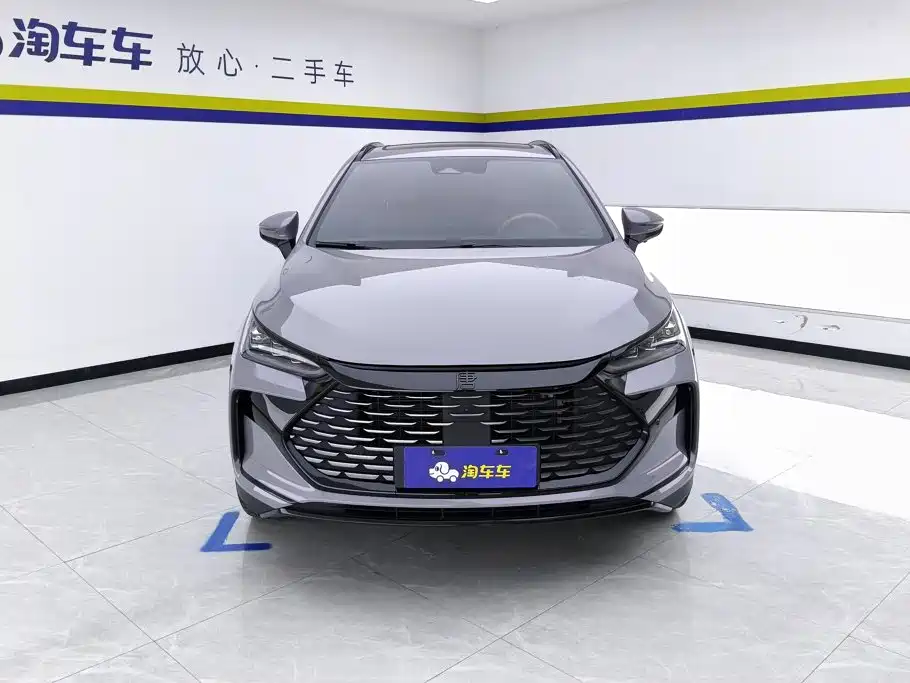 BYD Tang New Energy — миниатюра 2