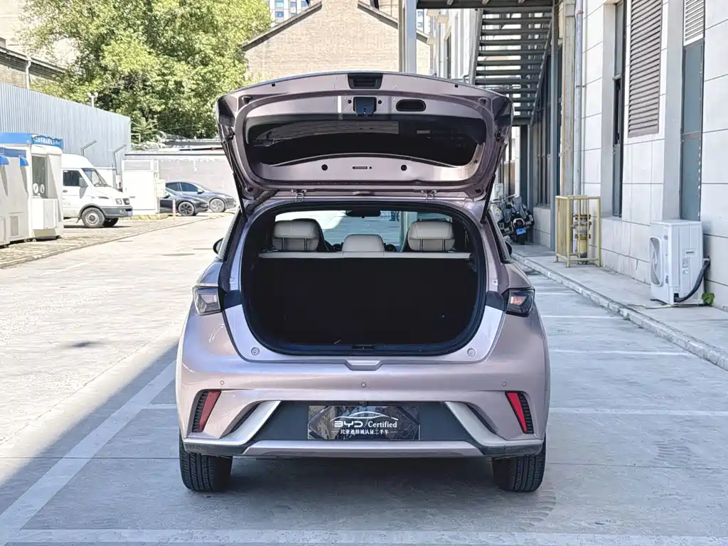 BYD Dolphin — миниатюра 11