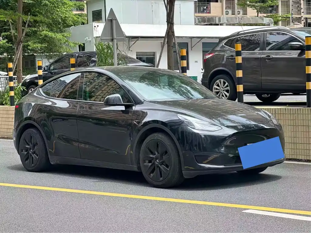 Tesla Model Y — миниатюра 2