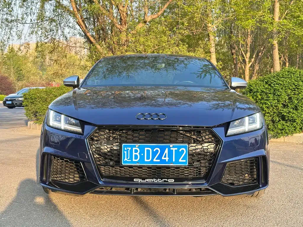 Audi TT 2017