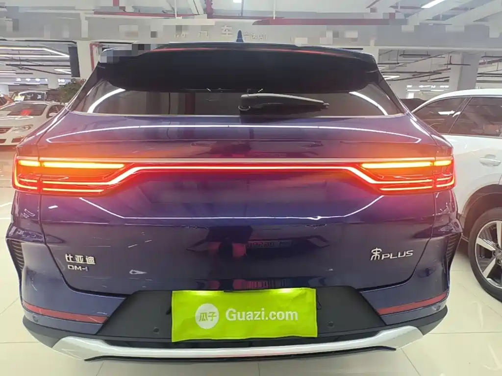 BYD PLUS New Energy — миниатюра 6