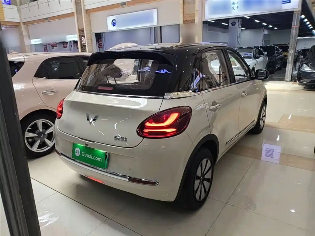 Wuling Binguo 2025 333km Enjoy