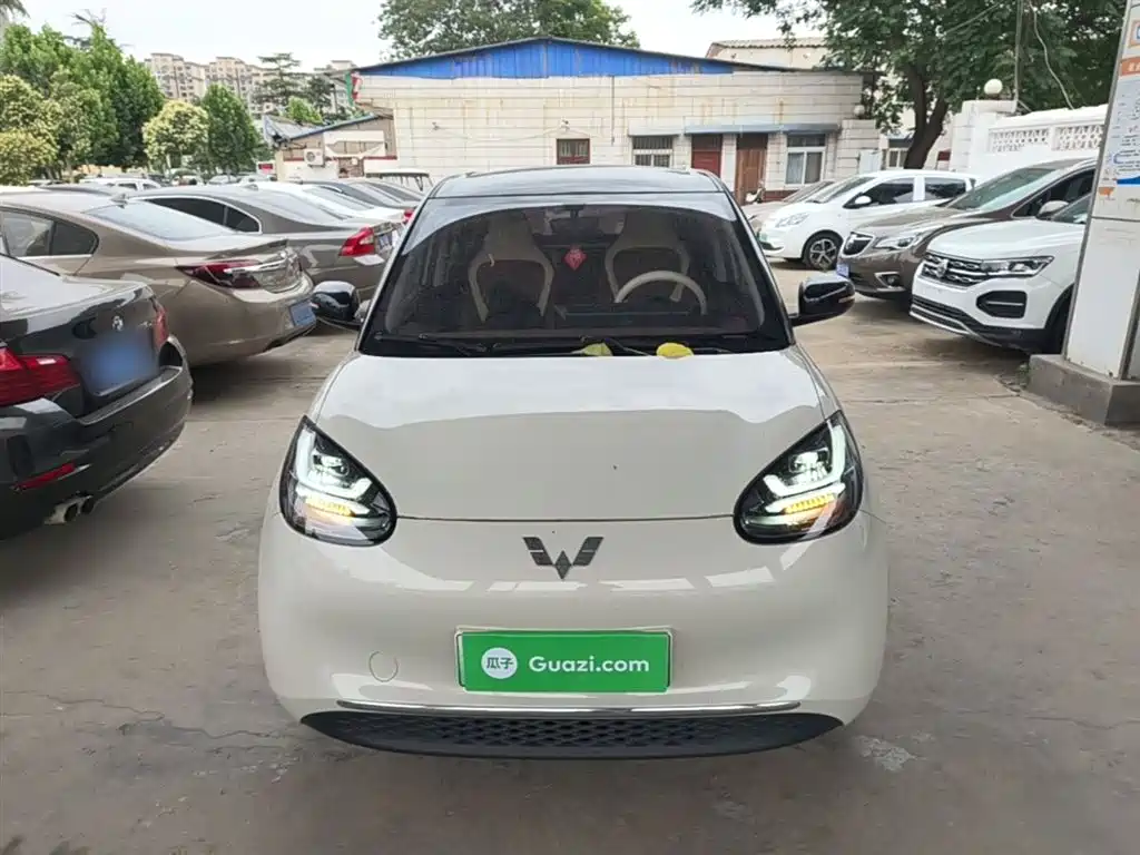 Wuling Binguo 2024 333km Enjoy