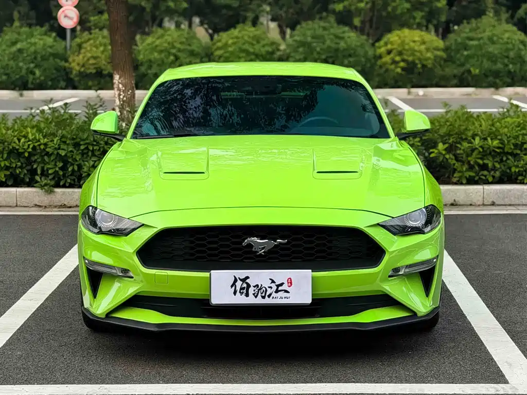 Ford Mustang — миниатюра 2