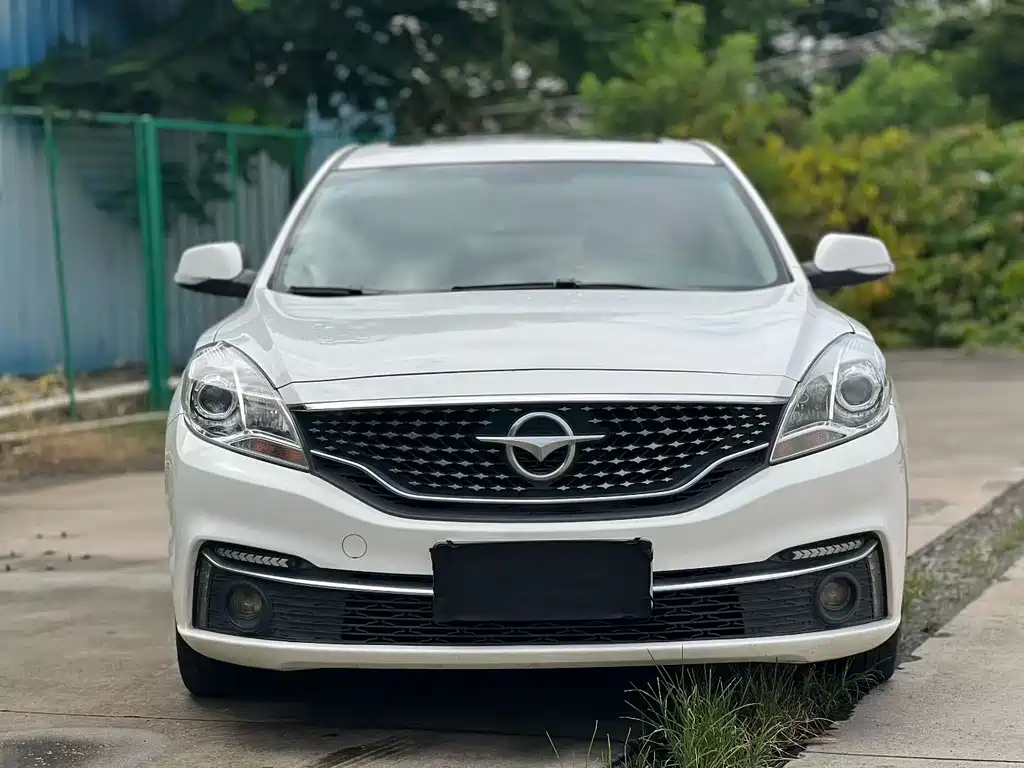 Haima Familia F5 — миниатюра 2
