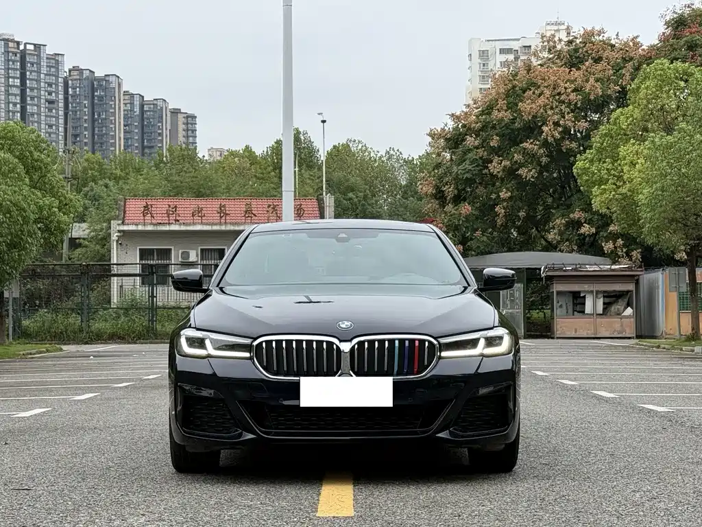 BMW 5 Series — миниатюра 2