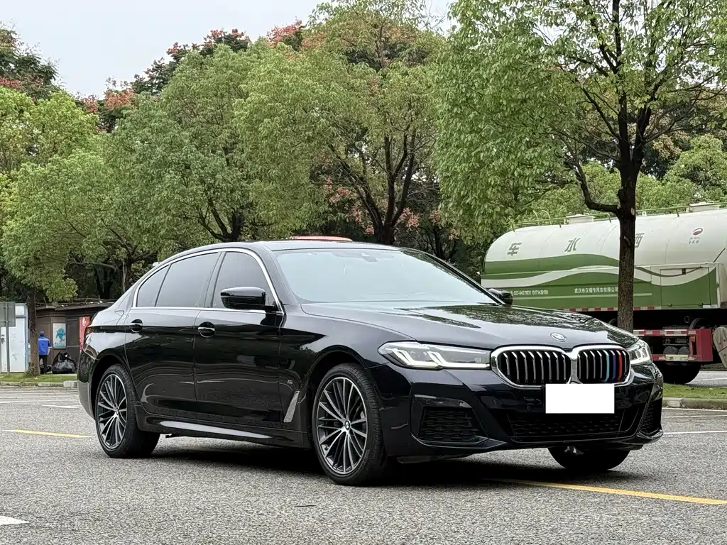 BMW 5 Series — миниатюра 3