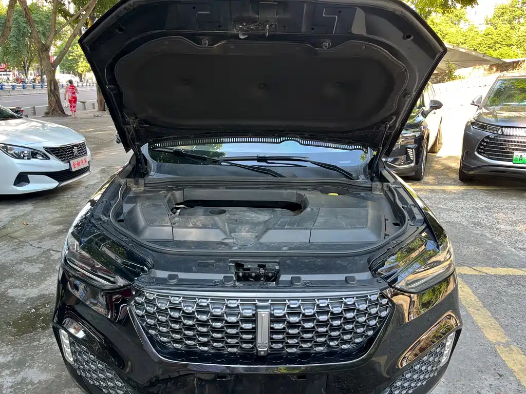 Wey Wey VV6 — миниатюра 15