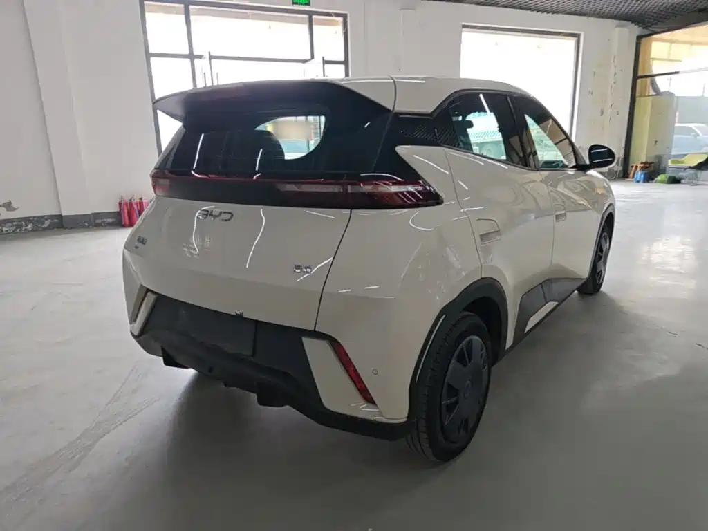 BYD Seagull 2024 305km