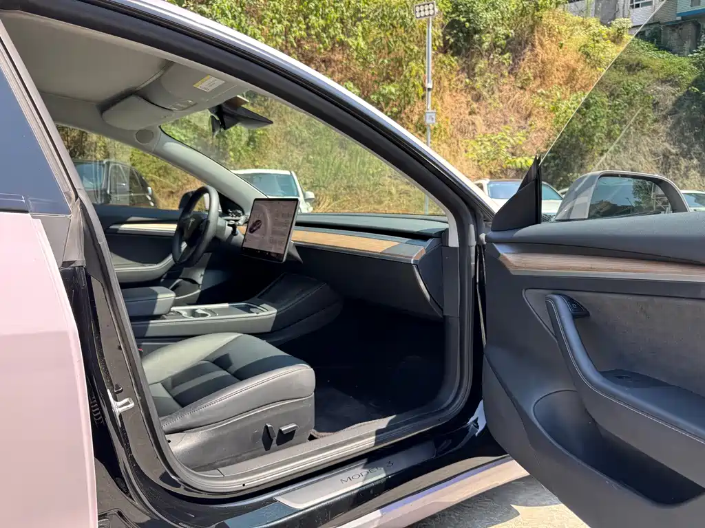 Tesla Model 3 — миниатюра 28