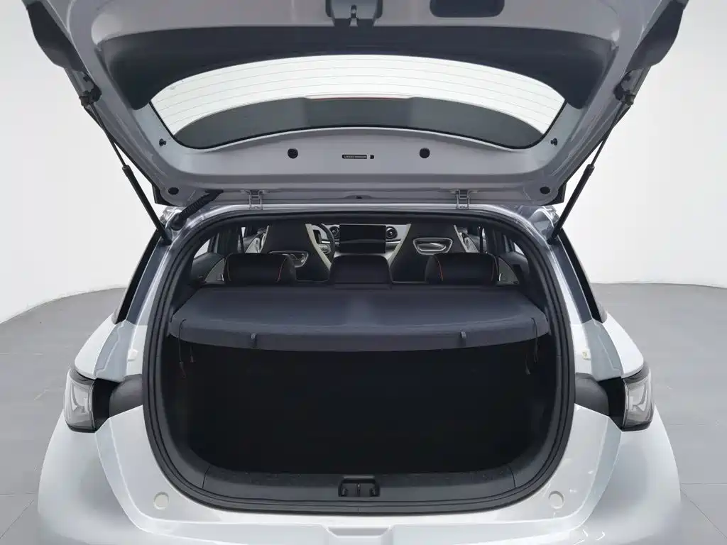 BYD Dolphin — миниатюра 16