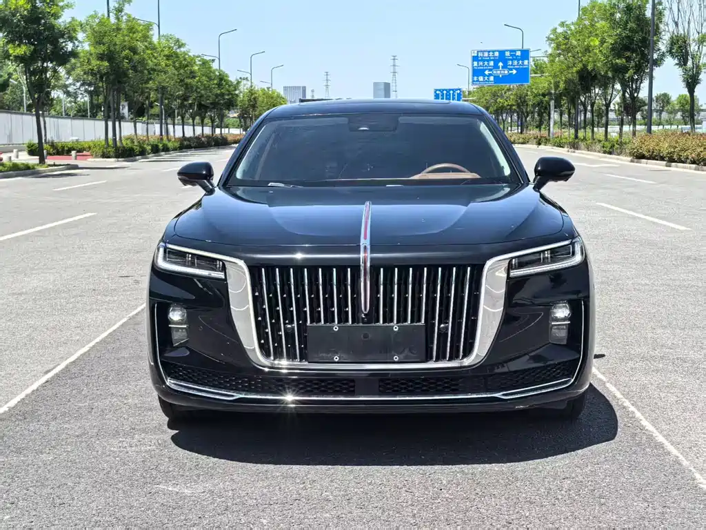Hongqi Hongqi H9 2021