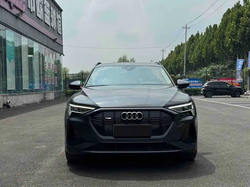 Audi e-tron (Import) — миниатюра 2
