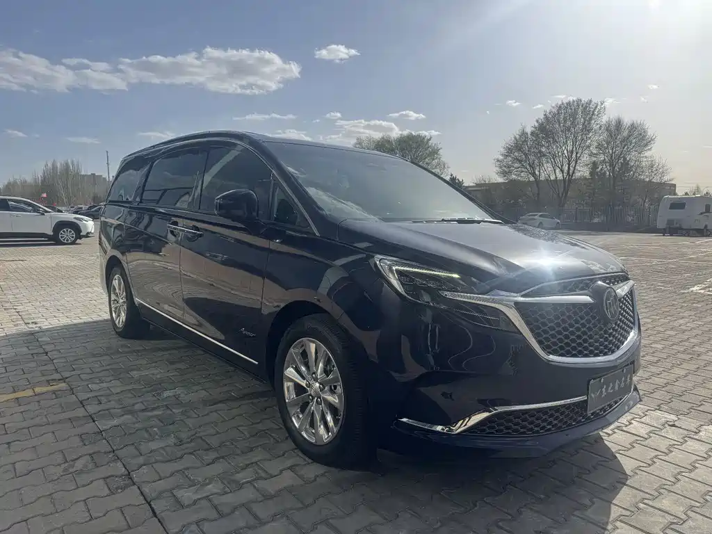 Buick GL8 2020 Avenir мест