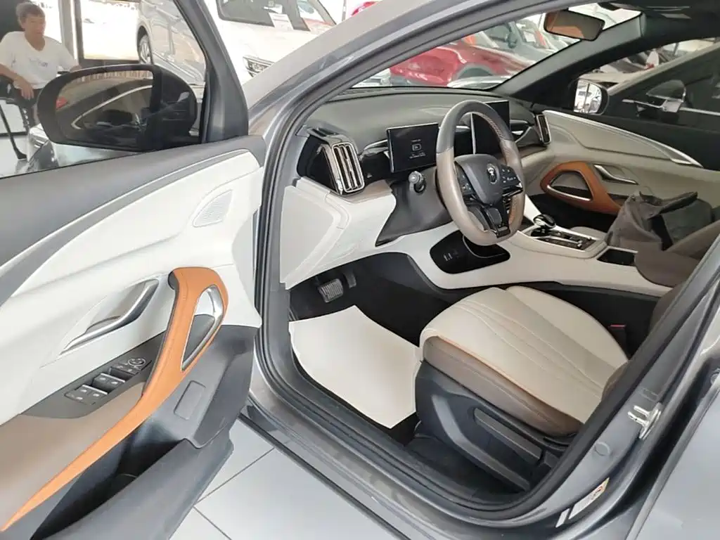 BYD Pro New Energy — миниатюра 16