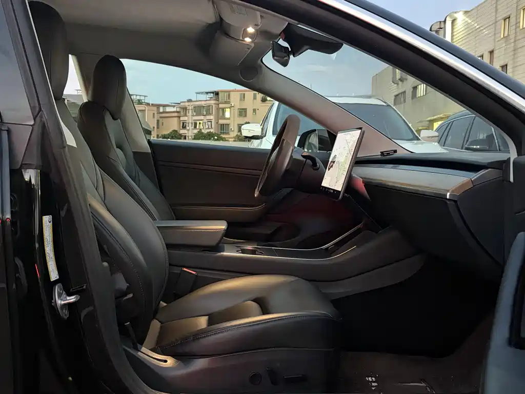 Tesla Model 3 — миниатюра 19