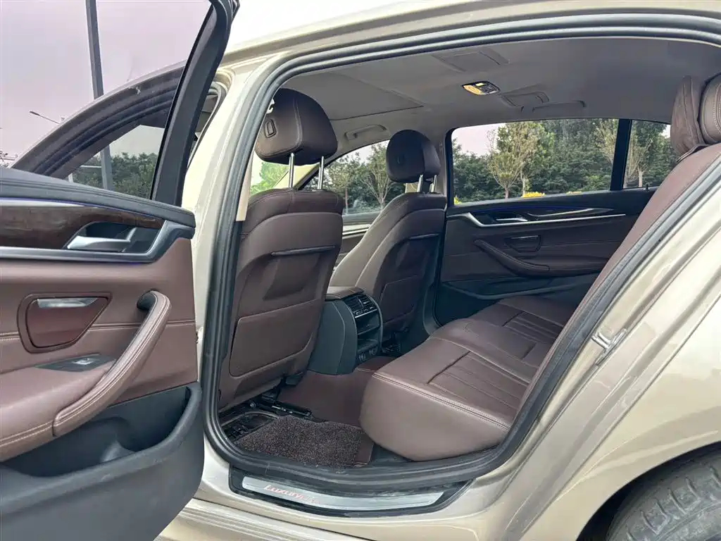 BMW 5 Series 5 2019 525Li Luxury