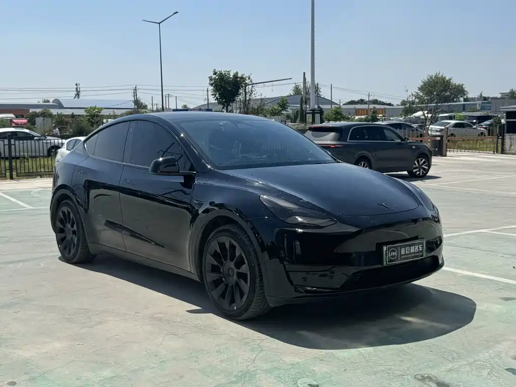 Tesla Model Y — миниатюра 3