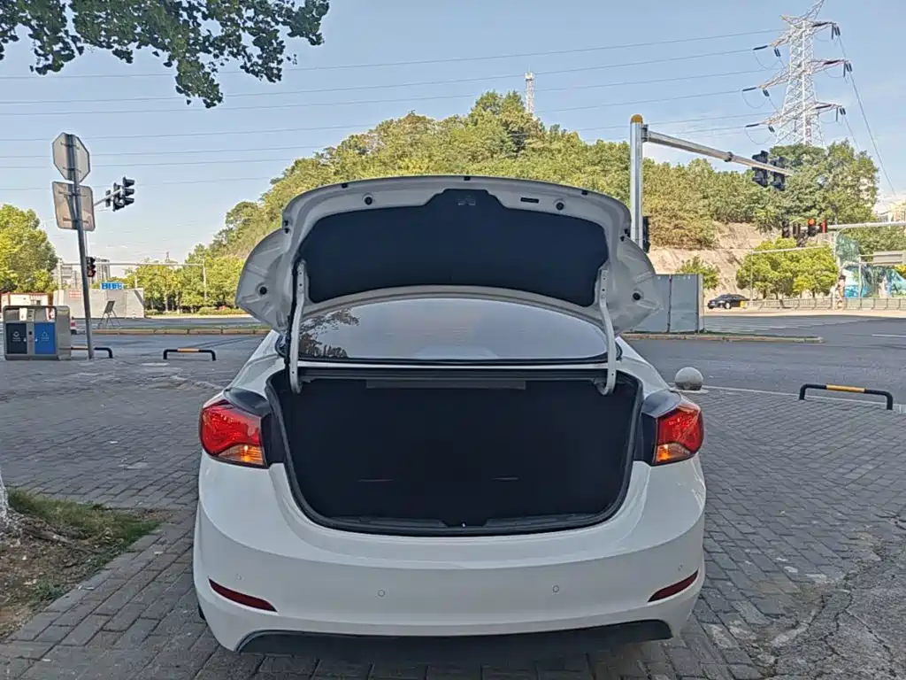 Hyundai Elantra Langdong — миниатюра 19