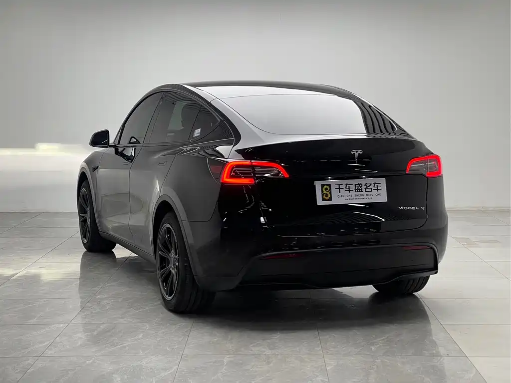 Tesla Model Y — миниатюра 4
