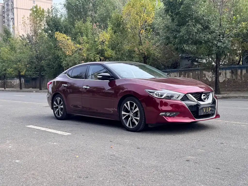 Nissan Cima — миниатюра 3