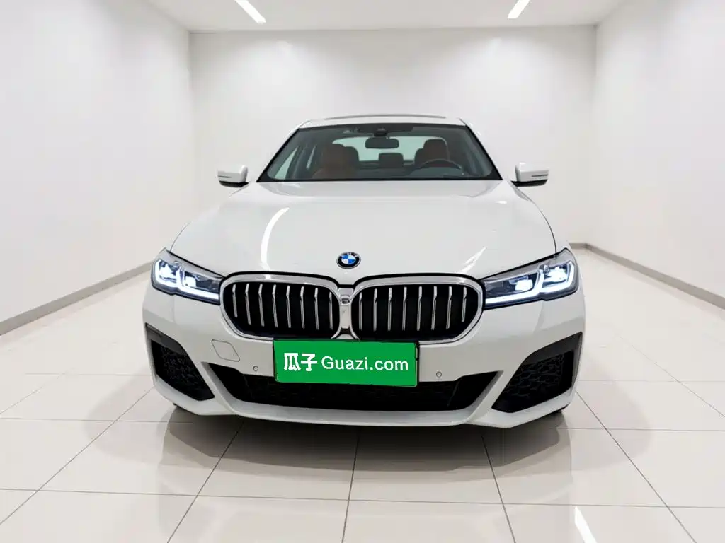 BMW 5 Series New Energy — миниатюра 2