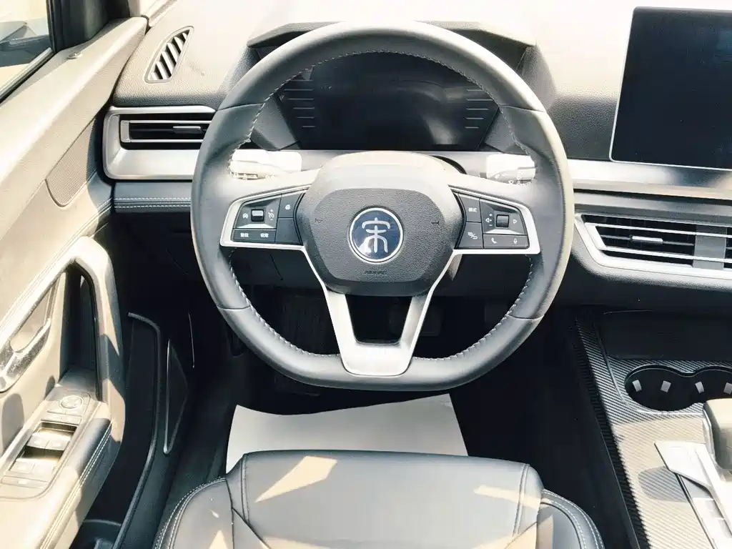 BYD Pro — миниатюра 6