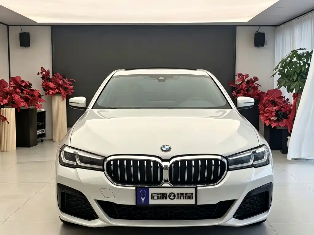 BMW 5 Series — миниатюра 2