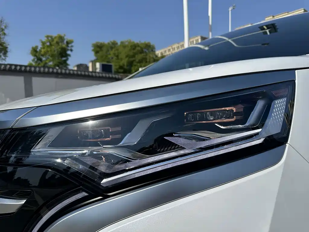 Denza Denza D9 — миниатюра 6