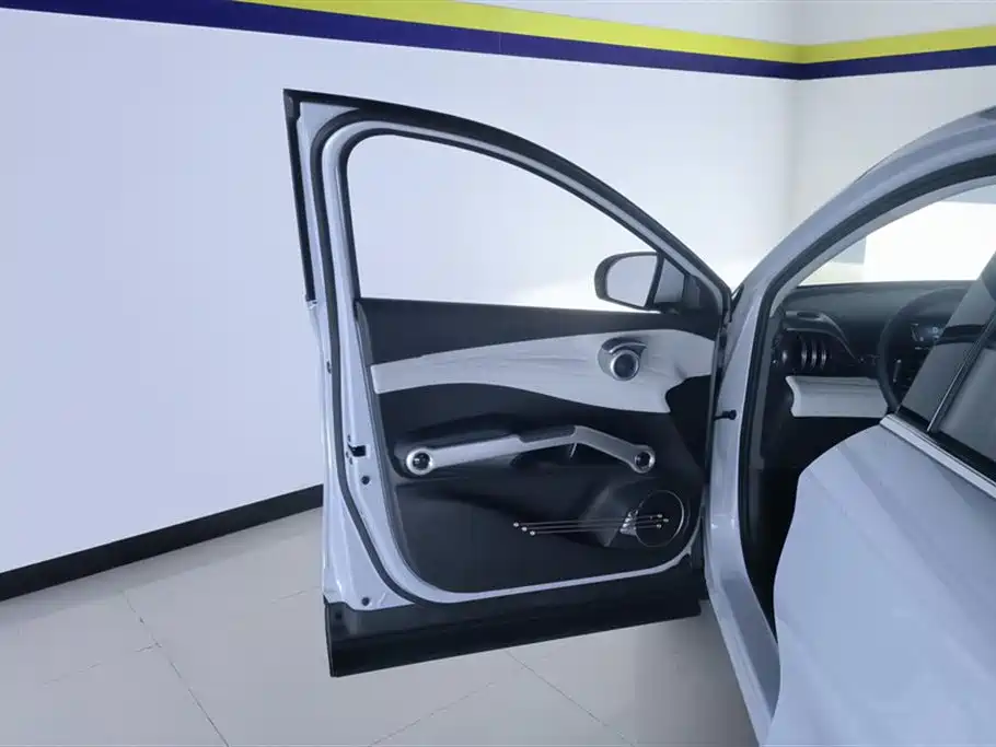 BYD Yuan Plus PLUS 2022 510KM