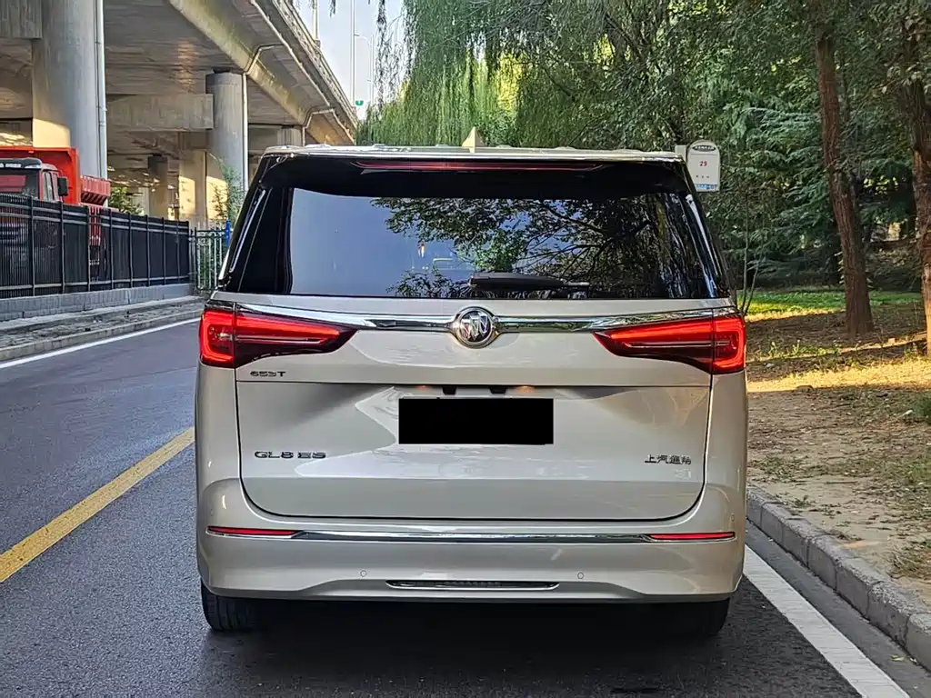 Buick GL8 — миниатюра 5