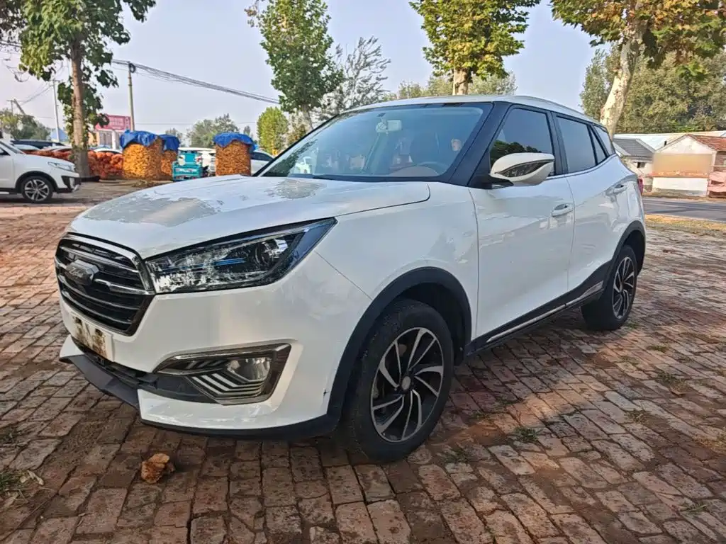 Zotye Zotye T300