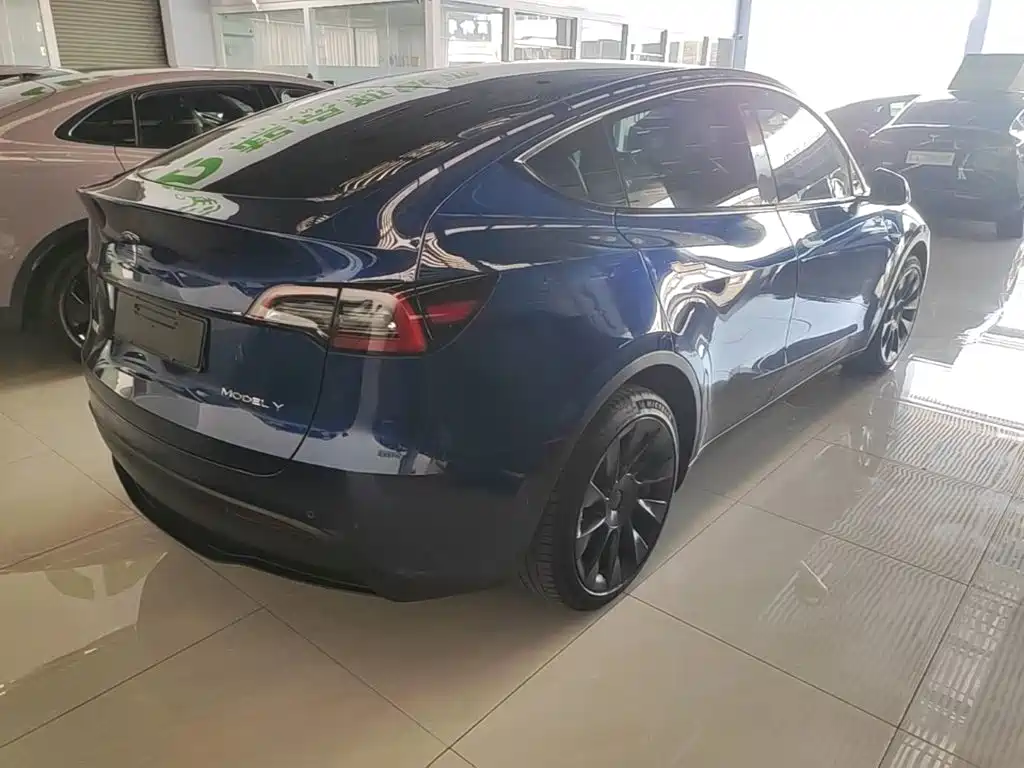 Tesla Model Y — миниатюра 7