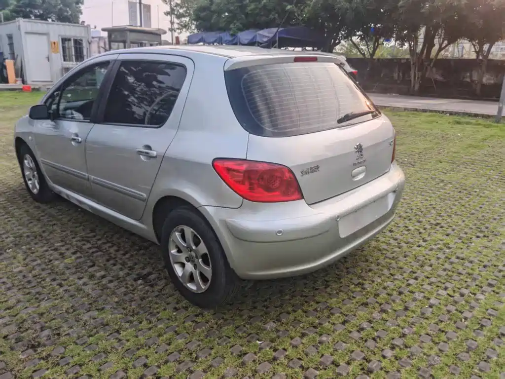 Peugeot 307 — миниатюра 11
