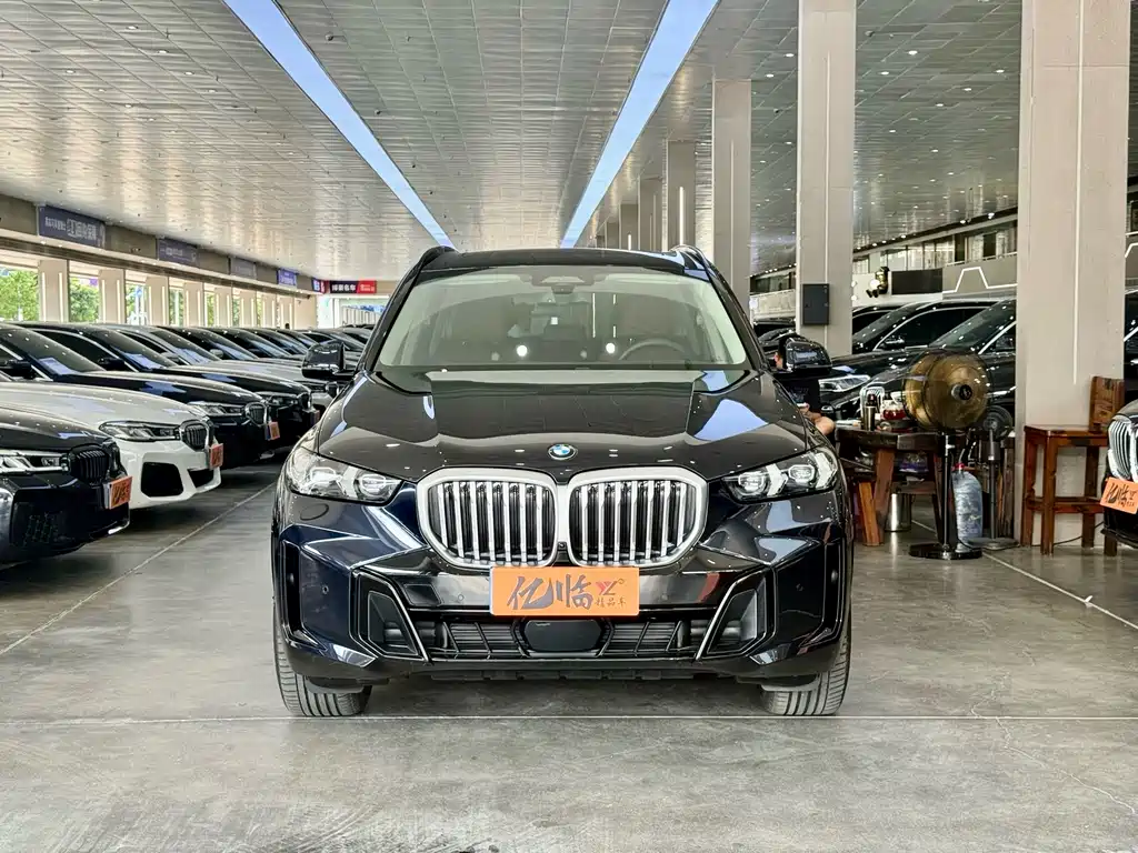 BMW X5 — миниатюра 2