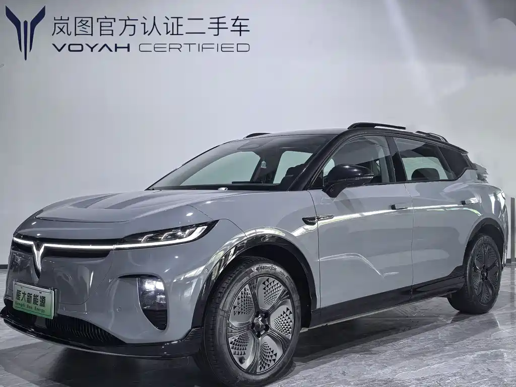 Voyah Zhiyin 2025