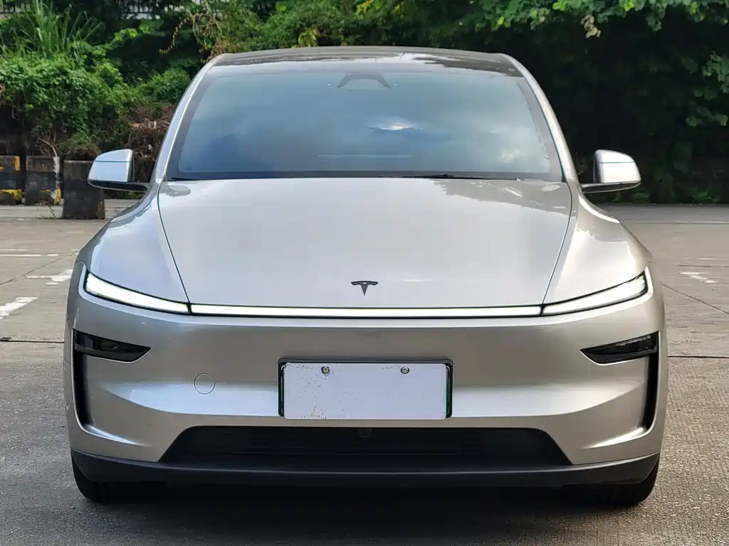 Tesla Model Y L — миниатюра 2