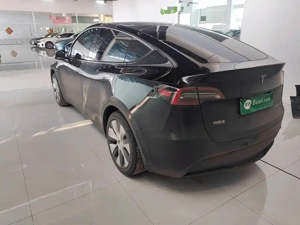 Tesla Model Y — миниатюра 5