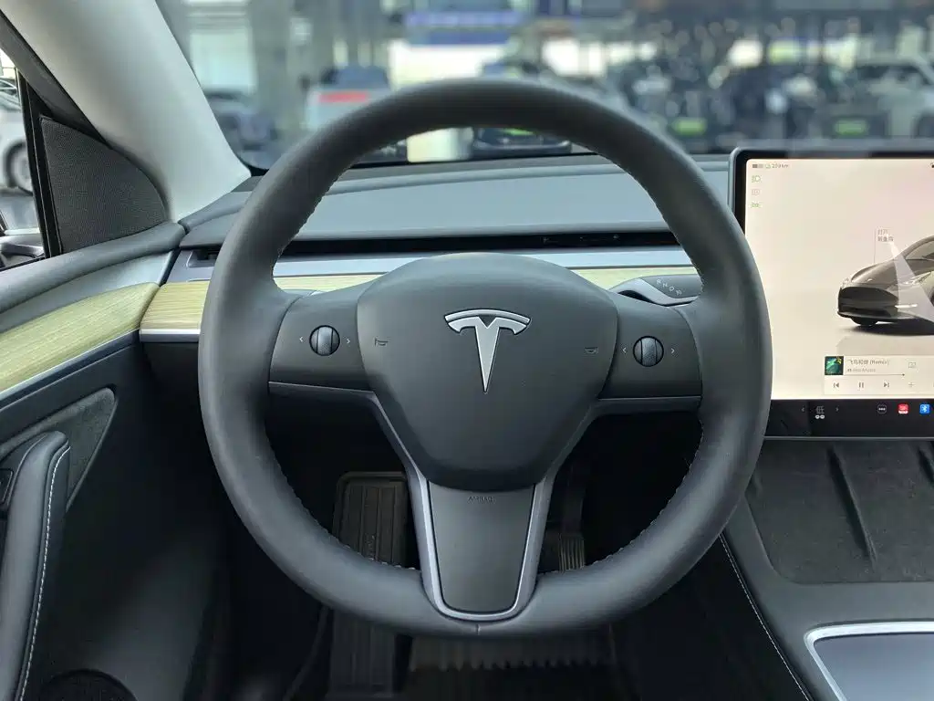 Tesla Model Y — миниатюра 12