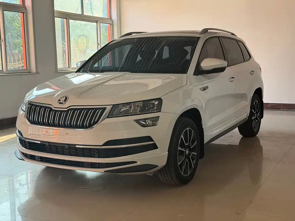 Skoda Karoq — миниатюра 2