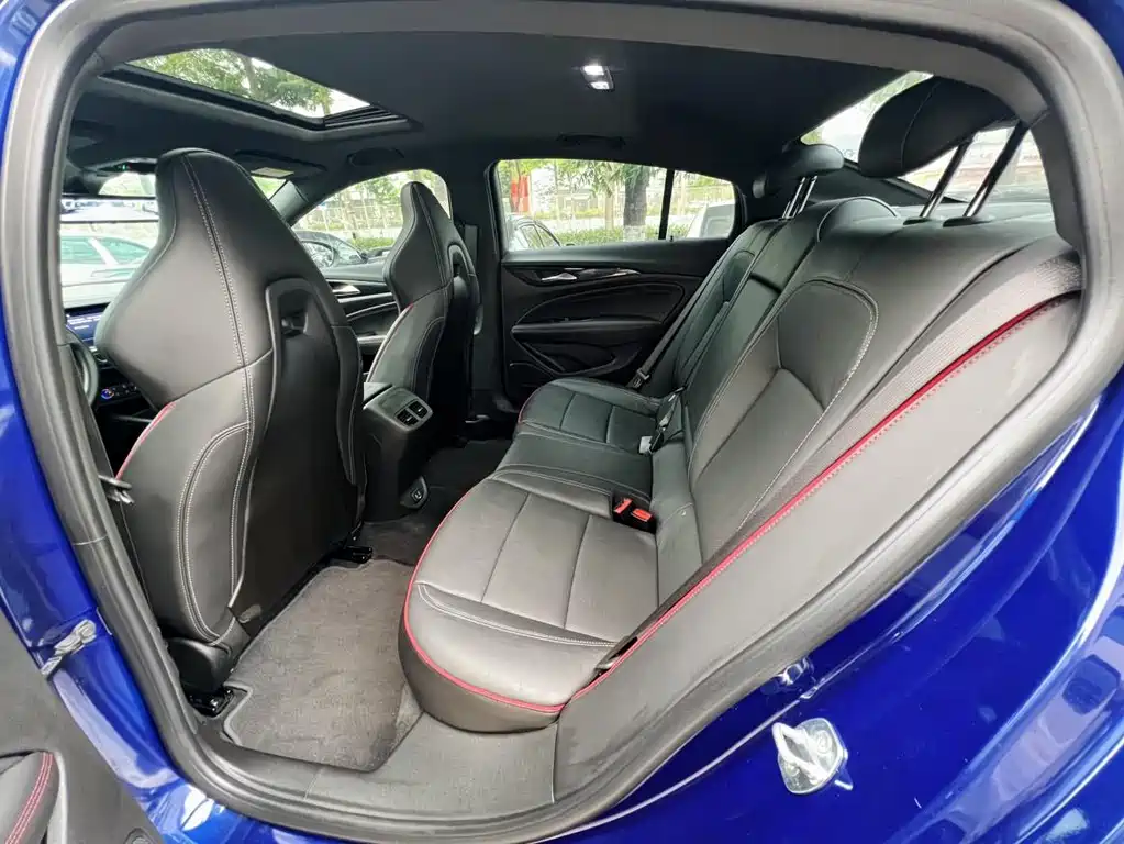Buick Regal — миниатюра 18
