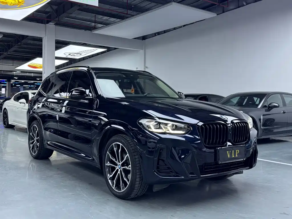 BMW X3 — миниатюра 3