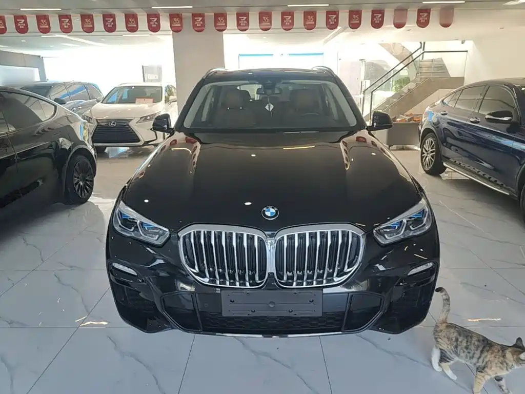 BMW X5 New Energy (Import) — миниатюра 3