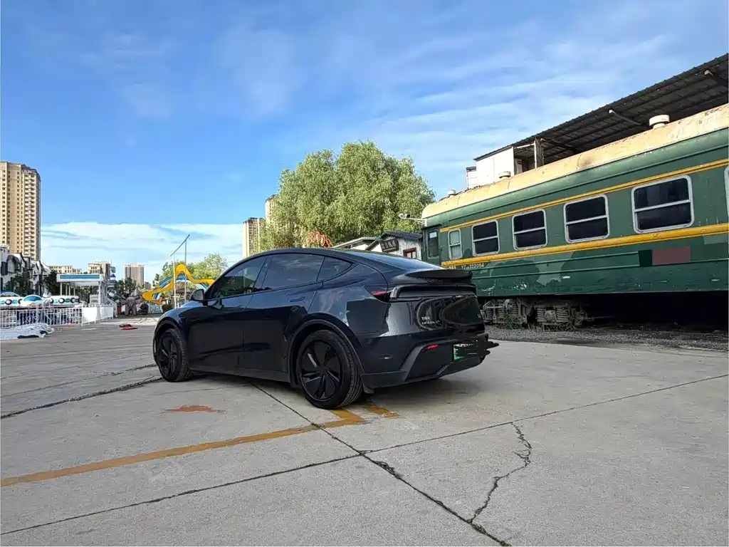 Tesla Model Y — миниатюра 6