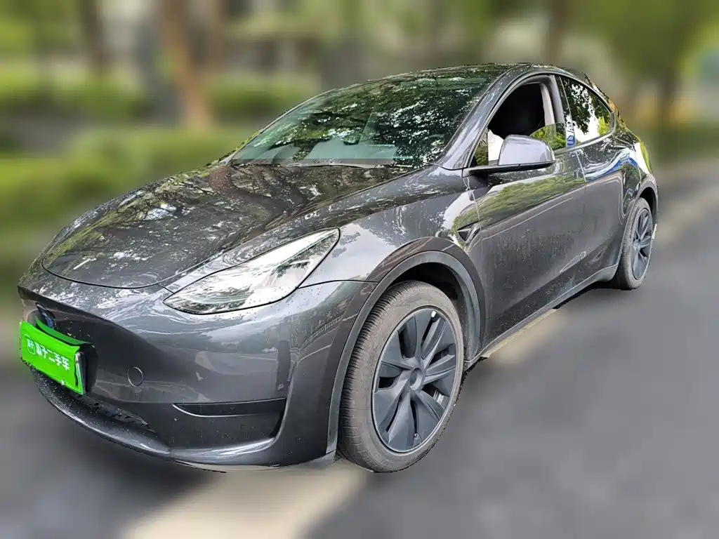 Tesla Model Y — миниатюра 2