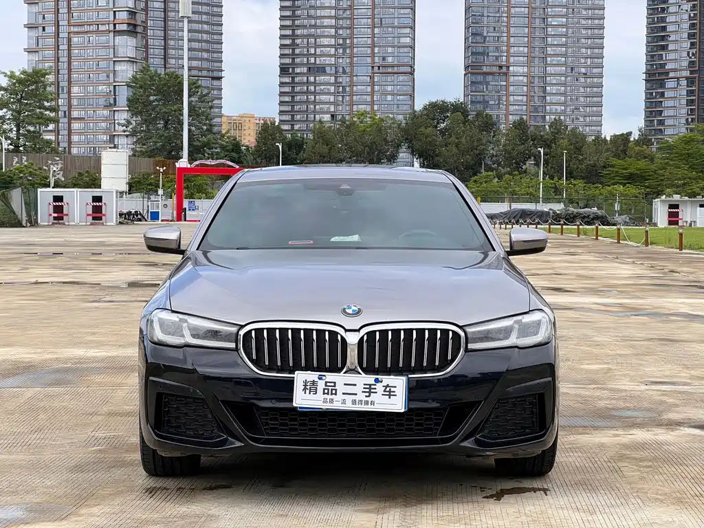 BMW 5 Series — миниатюра 2